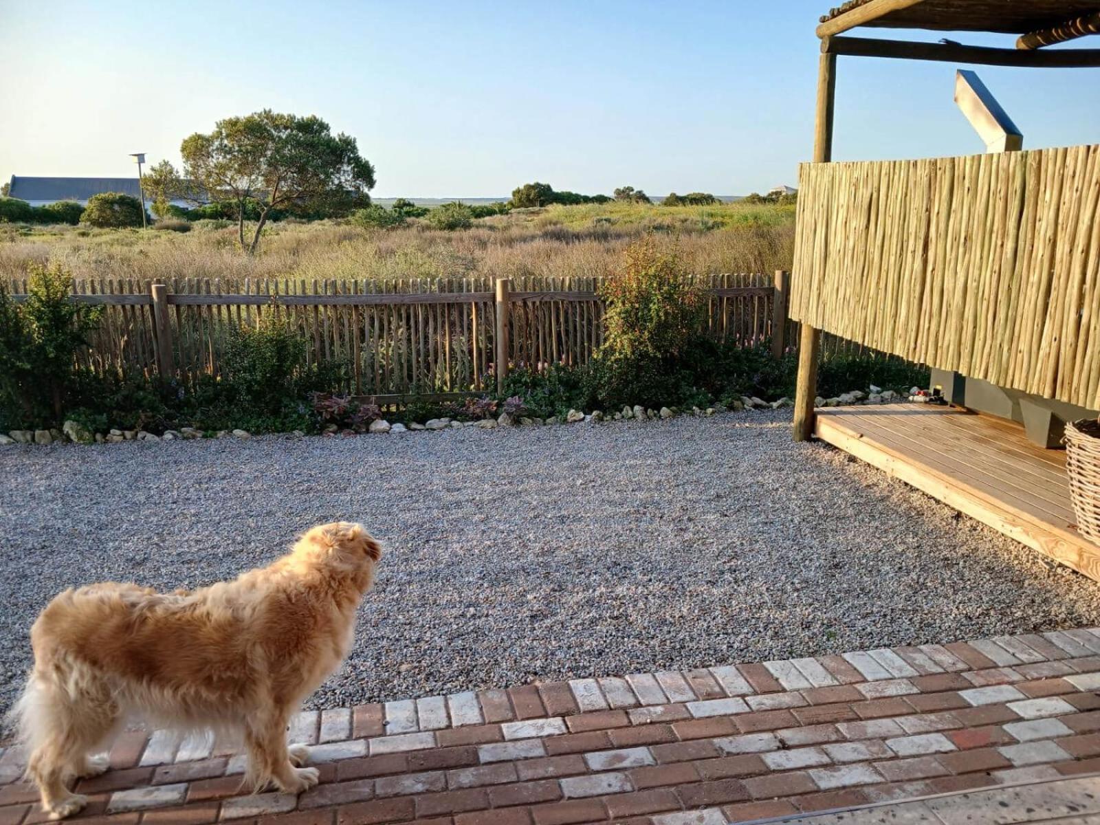 Camelot Cottages ランゲバーン エクステリア 写真